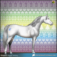 Horse Color:Gray Brown Tobiano Rabicano