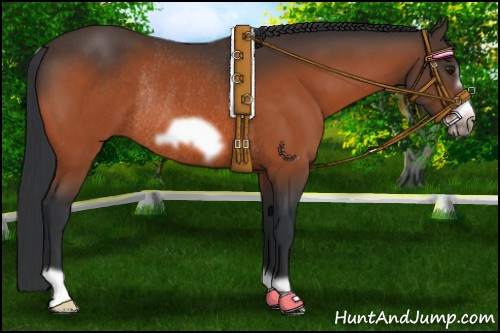 Horse Color:Brown Frame Rabicano 