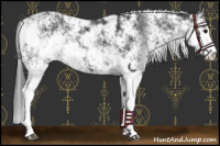 Horse Color:Black Sabino 