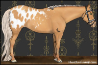 Horse Color:Silver Sable Cream Champagne Blanket 