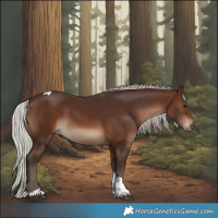Horse Color:Silver Brown Tobiano Rabicano 