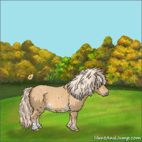 Horse Color:Palomino Roan Dun 
