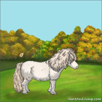 Horse Color:Perlino Roan Dun 