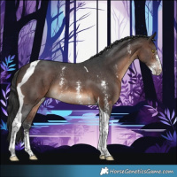 Horse Color:Brown Sabino Tobiano Rabicano