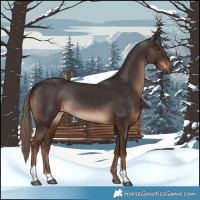 Horse Color:Liver Chestnut Tobiano Rabicano 