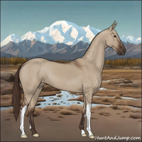 Horse Color:Liver Red Dun 