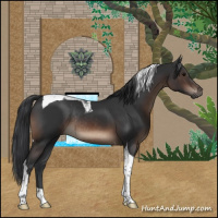 Horse Color:Brown Ice Tobiano Rabicano