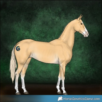 Horse Color:Palomino Splash 