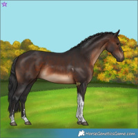 Horse Color:Brown Tobiano Rabicano 