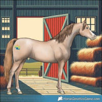 Horse Color:Gold Champagne Pearl Rabicano  and Gold Champagne Pearl Splash Rabicano 