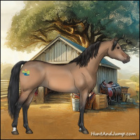 Horse Color:Brown Dun 