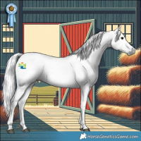 Horse Color:Gray Black 