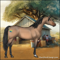 Horse Color:Bay Roan Dun 