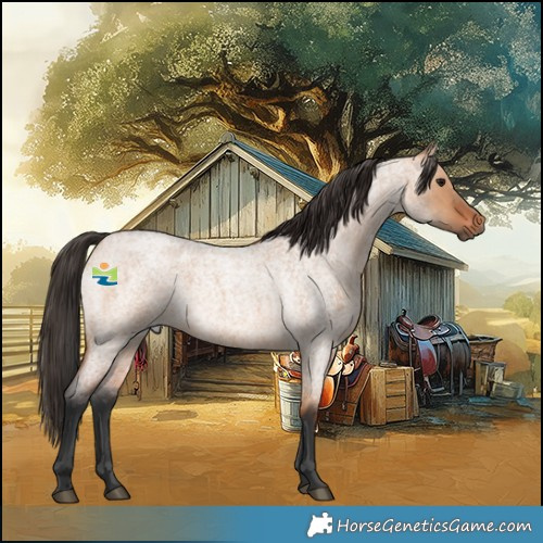 Horse Color:Bay Roan Dun 