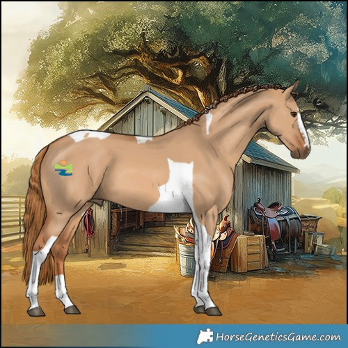 Horse Color:Red Dun Tobiano 