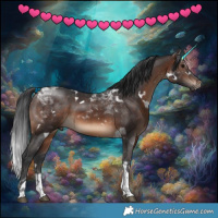 Horse Color:White Spotted Brown Tobiano Rabicano 