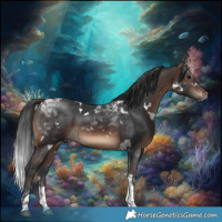 Horse Color:White Spotted Brown Tobiano Rabicano