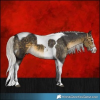 Horse Color:White Spotted Silver Buckskin Splash Tobiano 