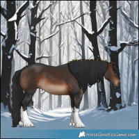 Horse Color:Brown Tobiano Rabicano 