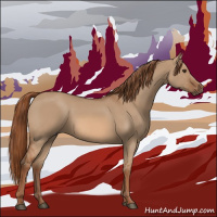 Horse Color:Red Dun 