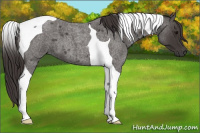Horse Color:Smoky Blue Roan Tobiano 