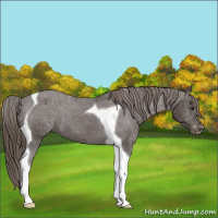 Horse Color:Liver Chestnut Tobiano Varnish 