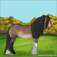 Horse Color:Brown Dun Tobiano Rabicano