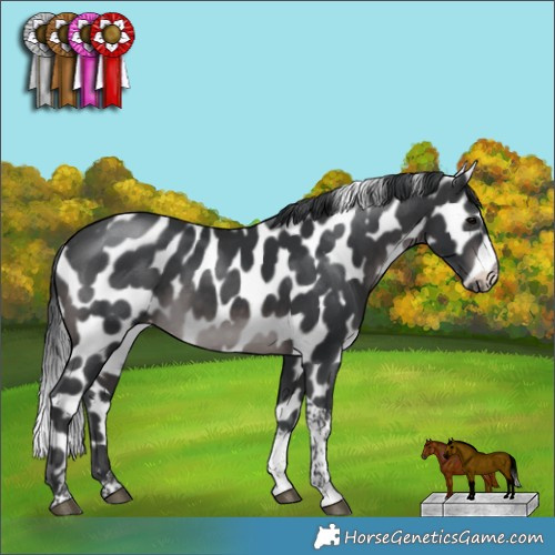 Horse Color:Platinum Brown Tobiano Appaloosa Rabicano 