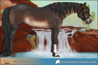 Horse Color:Brown Tobiano Rabicano