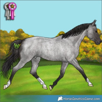 Horse Color:Smoky Blue Roan 