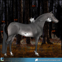 Horse Color:Platinum Brown Dun Tobiano Rabicano 