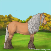 Horse Color:Silver Bay 