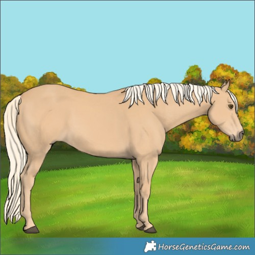 Horse Color:Chestnut Mushroom