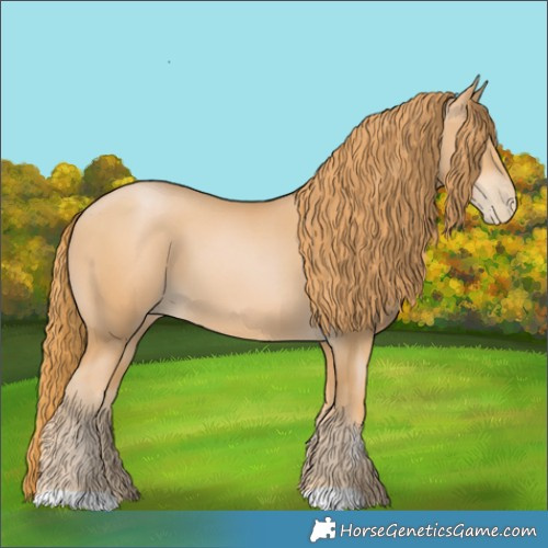 Horse Color:Chestnut Pearl