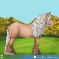 Horse Color:Silver Bay Pearl 