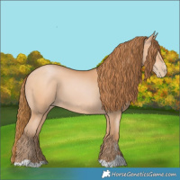 Horse Color:Bay Pearl 