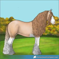 Horse Color:Bay Pearl Splash 