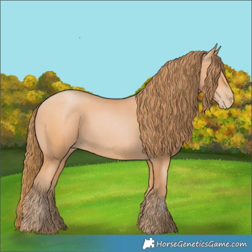 Horse Color:Bay Pearl 