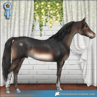 Horse Color:Brown Tobiano Rabicano 