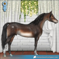 Horse Color:Brown Tobiano Rabicano