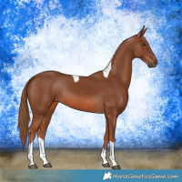 Horse Color:Chestnut Tobiano