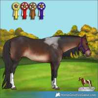 Horse Color:Brown Tobiano Rabicano 