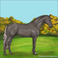 Horse Color:Silver Black 