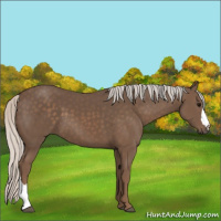 Horse Color:Silver Black 
