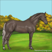 Horse Color:Silver Black 