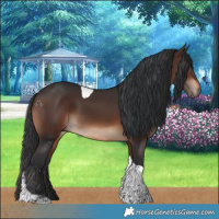 Horse Color:Brown Tobiano Rabicano 