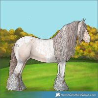 Horse Color:Amber Champagne Sabino Tobiano Appaloosa  and Amber Champagne Sabino Tobiano Appaloosa 