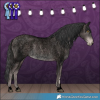 Horse Color:Void Platinum Brown Roan Pearl Rabicano 