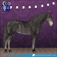 Horse Color:Void Platinum Brown Roan Pearl Rabicano 