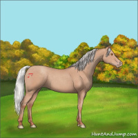 Horse Color:Silver Classic Champagne 